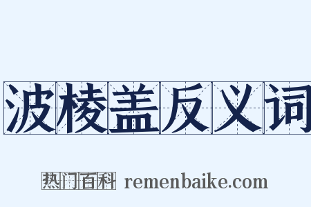 波棱盖反义词是什么意思的图片